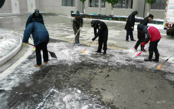 物业公司坚守抗寒一线温暖业主心