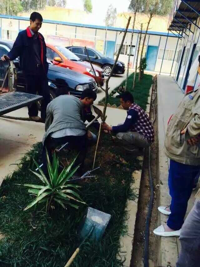 ​基础公司东南绕城项目组织植树活动