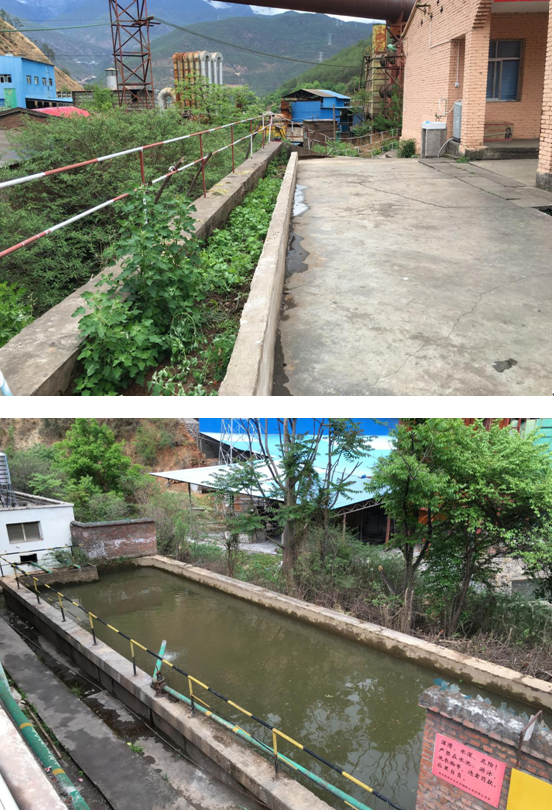 物流公司香丽高速公路项目部实现农产品自给自足