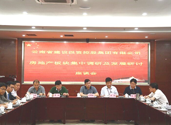 看清形势 找准切入点——集团召开房地产板块集中调研及发展研讨座谈会