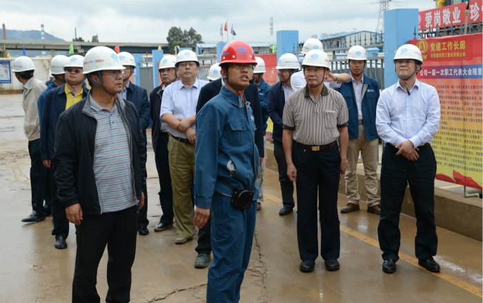 我国建筑业专家到集团两项目参观