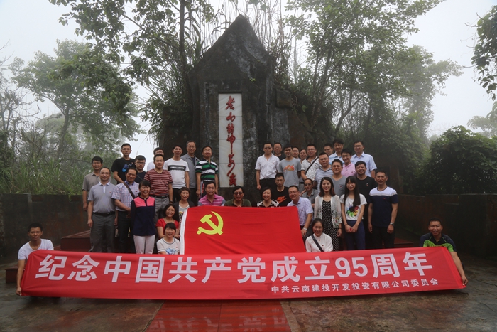 开发投资公司党委开展纪念建党95周年系列活动