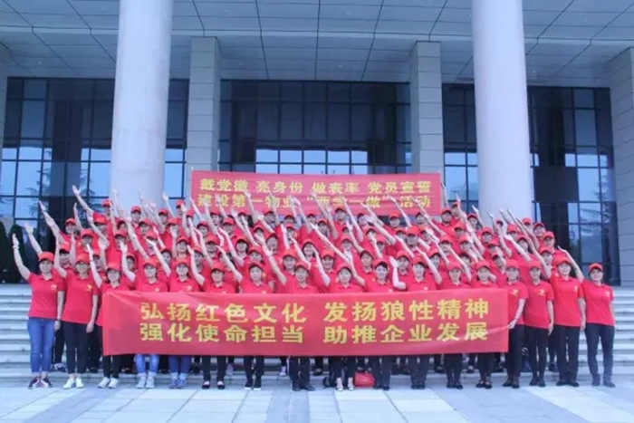第一物业公司开展“党在我心中”暨“两学一做”学习教育活动