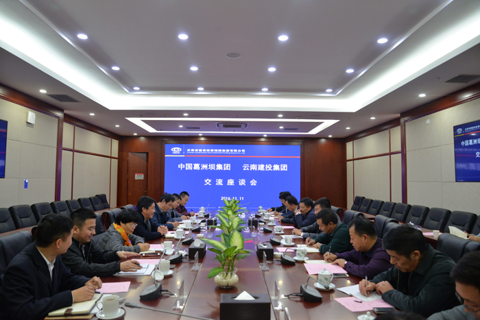 集团与中国葛洲坝集团交流座谈
