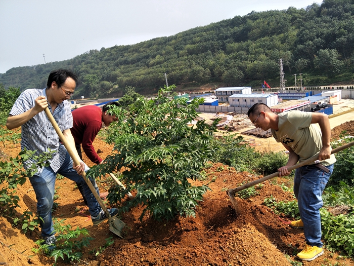  二公司十七直管河口污水处理厂项目部组织员工植树