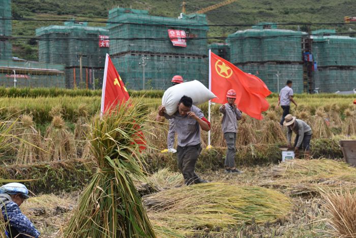 有色十四冶兰坪兔峨项目部与村民共度“丰收节”