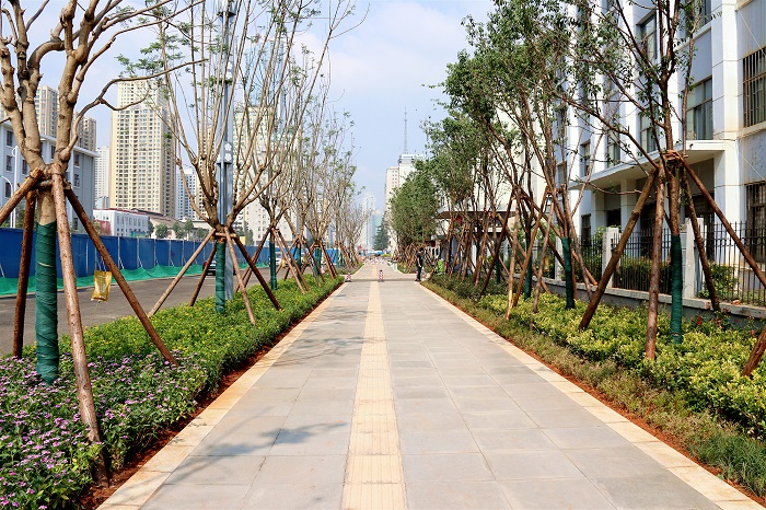 昆明市东风路道路恢复提升工程举办市民开放日活动