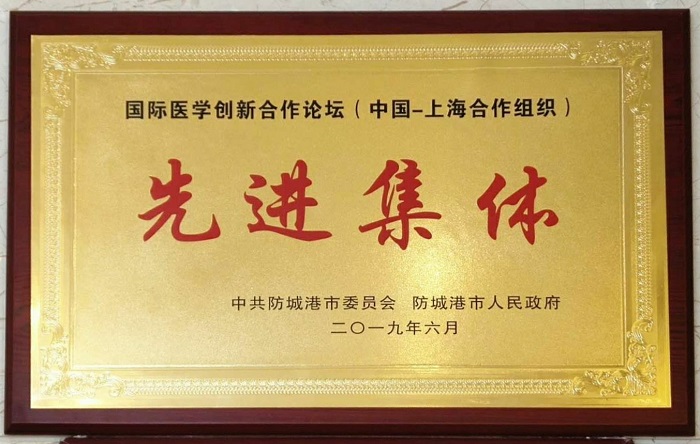 城乡投公司防城港深航国际酒店荣获国际医学创新合作论坛“先进集体”