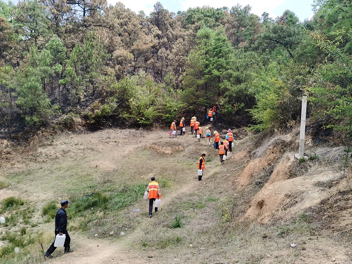 总承包公司安宁项目80余人参与青龙山火扑救