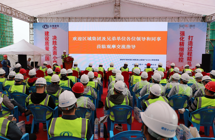 十一公司雁来湖小镇项目迎来地产企业观摩团