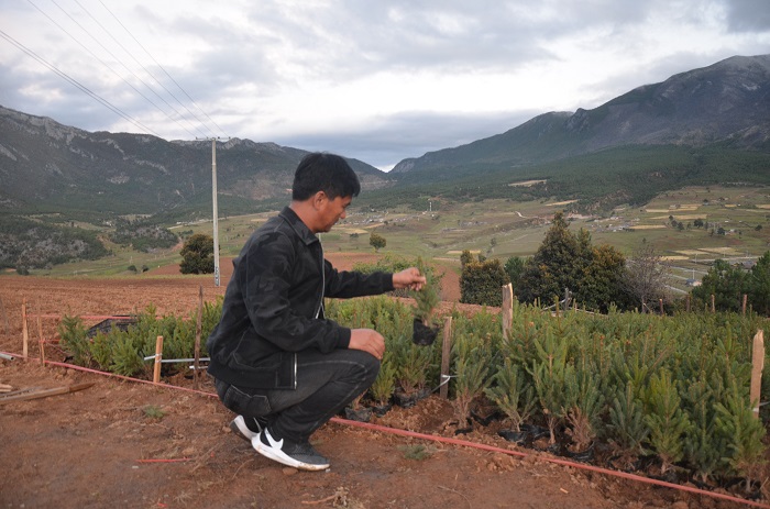 荒山变“金山”！第一水利水电公司助力丽江脱贫攻坚 