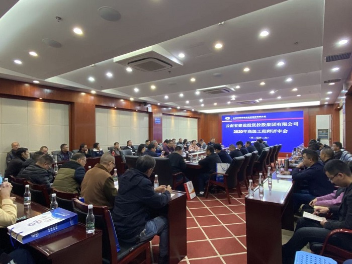 集团召开2020年高级工程师专业技术职称评审会