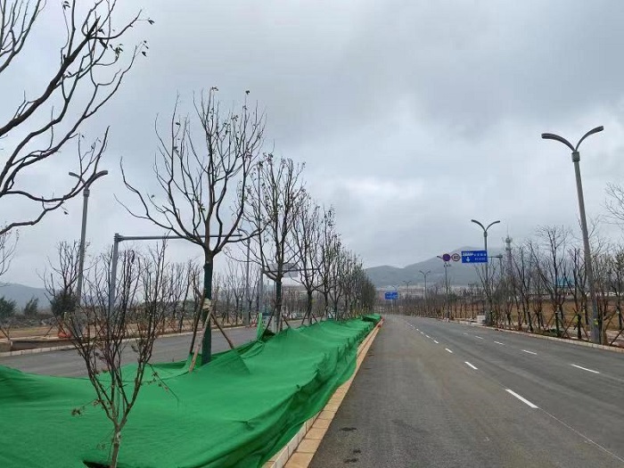 曲靖麒沾马项目龙东路景观照明工程完工