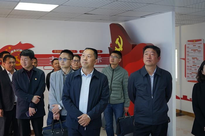 省国资委党委验收集团6个基层党支部规范化建设工作