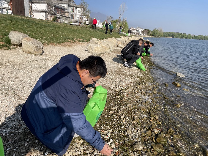 十五公司在洱海生态廊道开展志愿活动