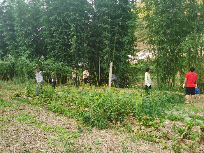 十四公司永大高速项目帮村民砍竹子