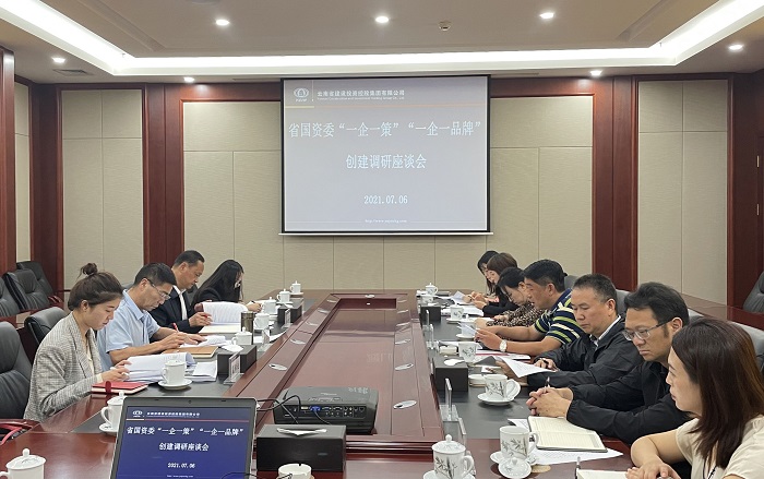 省国资委到集团开展基层党建工作专题调研