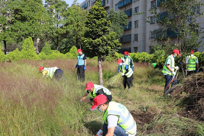 集团多家单位组织党员到老旧小区开展环境卫生整治活动