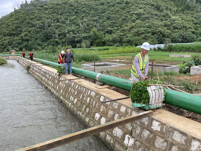 第一水利水电公司项目职工帮助当地百姓收割庄稼