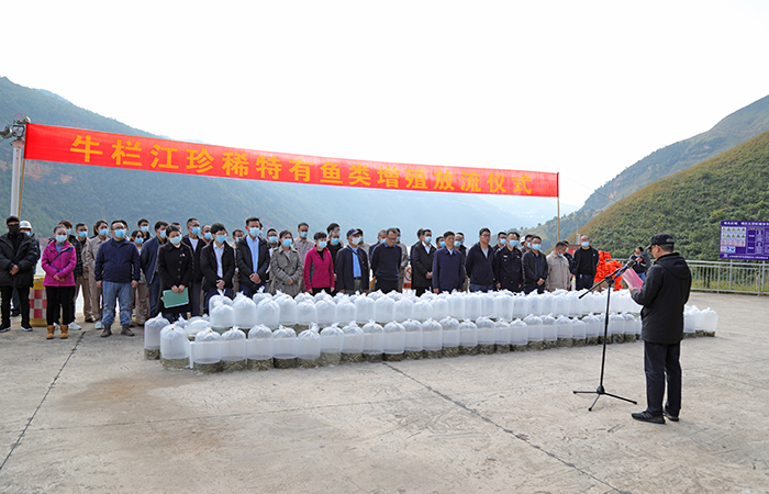 8.6万尾！水投公司举行第11次牛栏江增殖放流活动