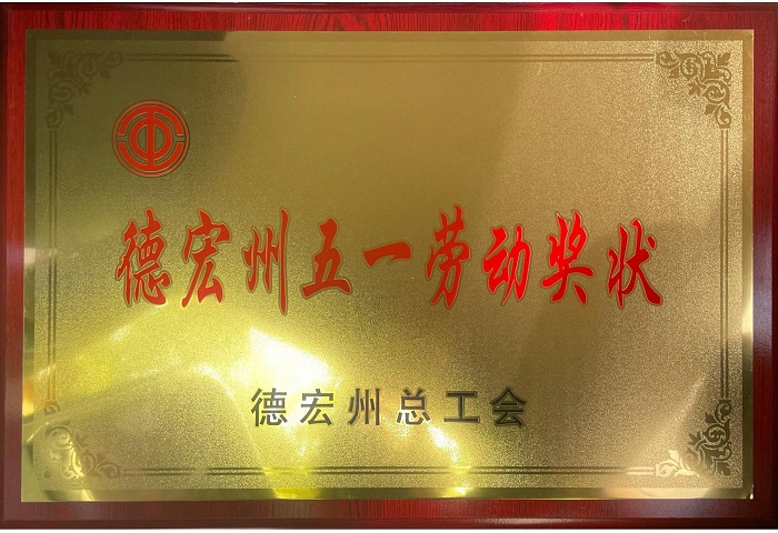 十七公司获评德宏州“五一劳动奖状”