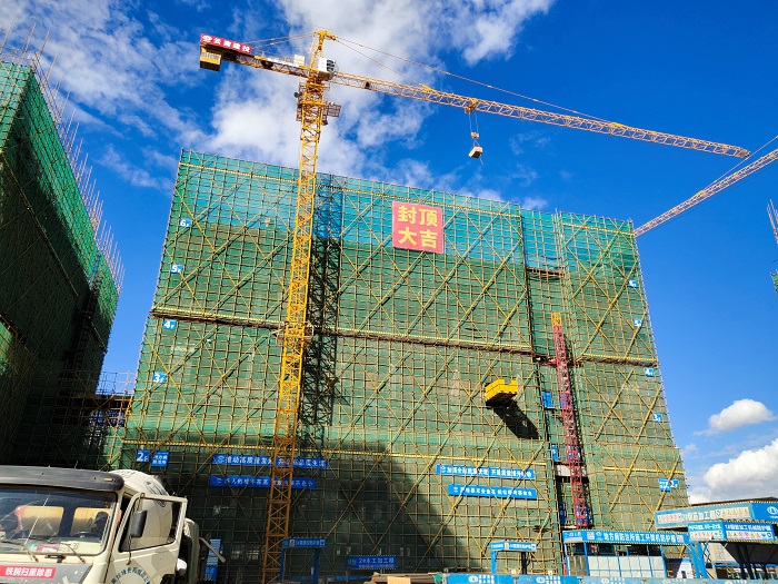 ​省疾控中心项目地方病防治所封顶