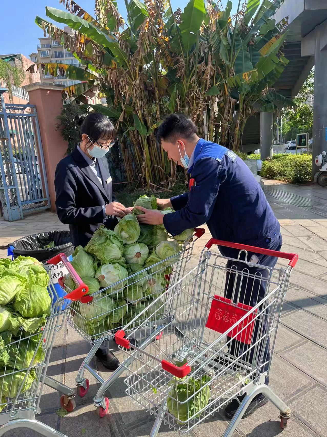 胜天国际物业开展红色物业“蔬”送关怀活动