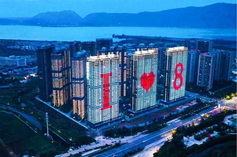 总承包公司会展8号地块项目通过住建部科技示范工程验收