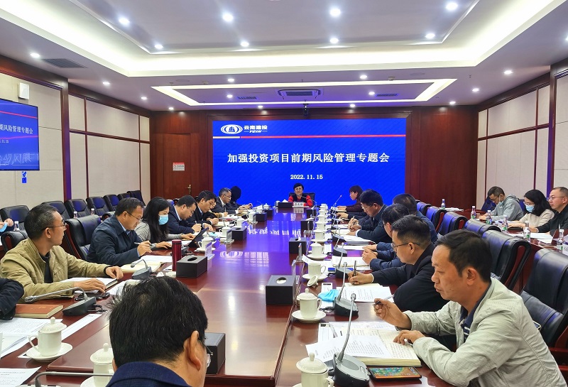 集团召开加强投资项目前期风险管理专题会