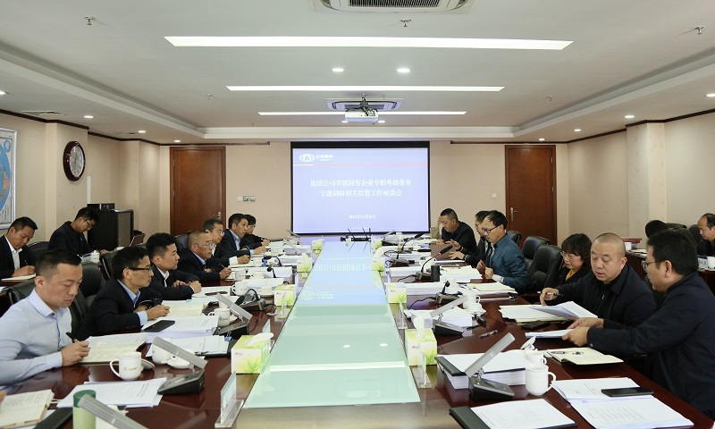 集团省属国有企业专职外部董事专题调研相关投资工作