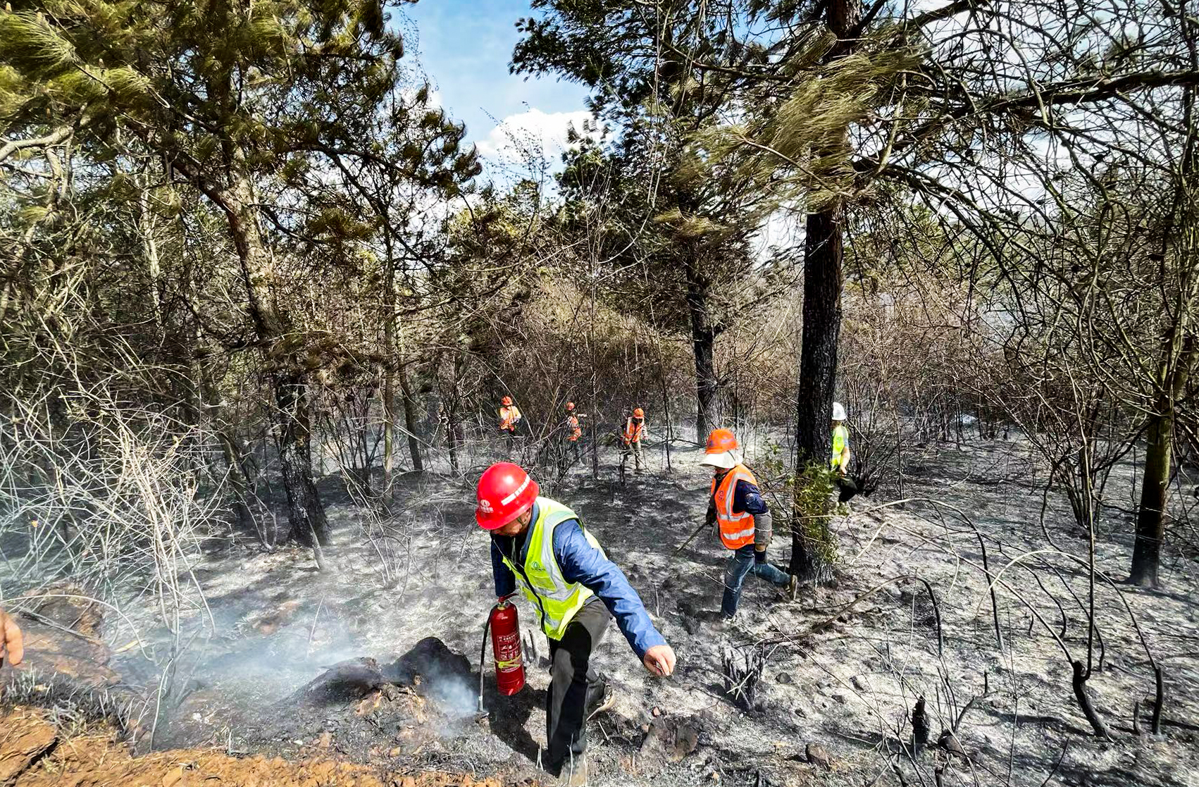六公司宣富高速土建四分部项目部紧急驰援扑灭山火