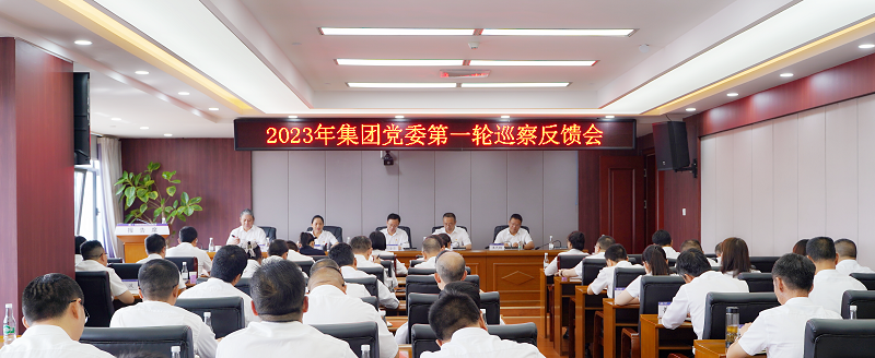 集团党委第六巡察组向省水公司反馈2023年第一轮巡察情况