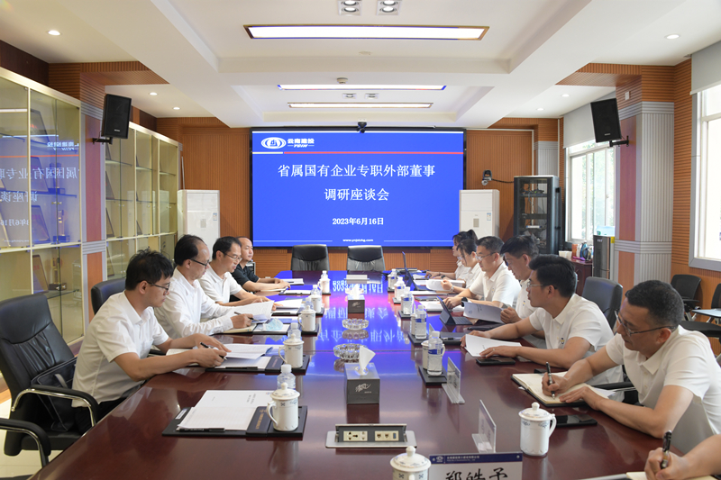 集团专职外部董事调研三公司
