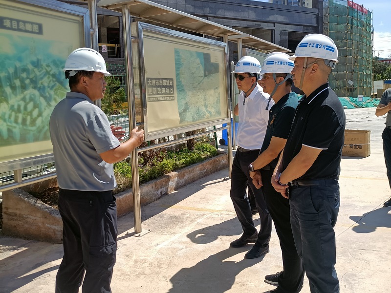 省发改委一级巡视员崔岗调研集团大理市重点项目