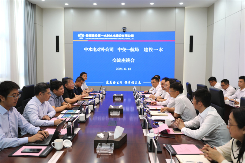 集团与中水电对外公司交流座谈