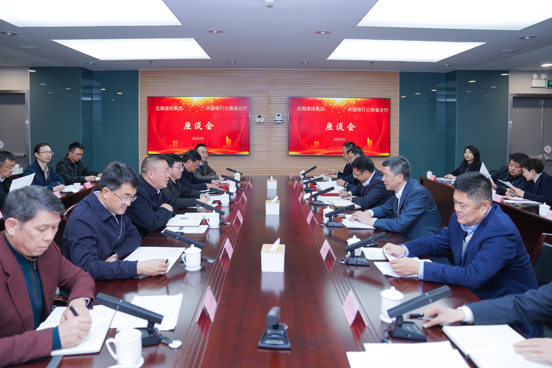 集团与中国银行云南省分行交流座谈