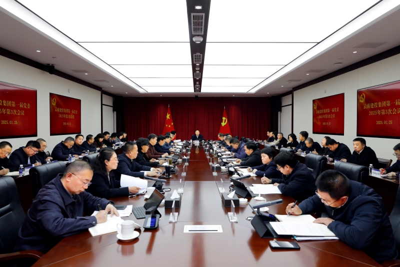 集团党委召开2025年第3次会议