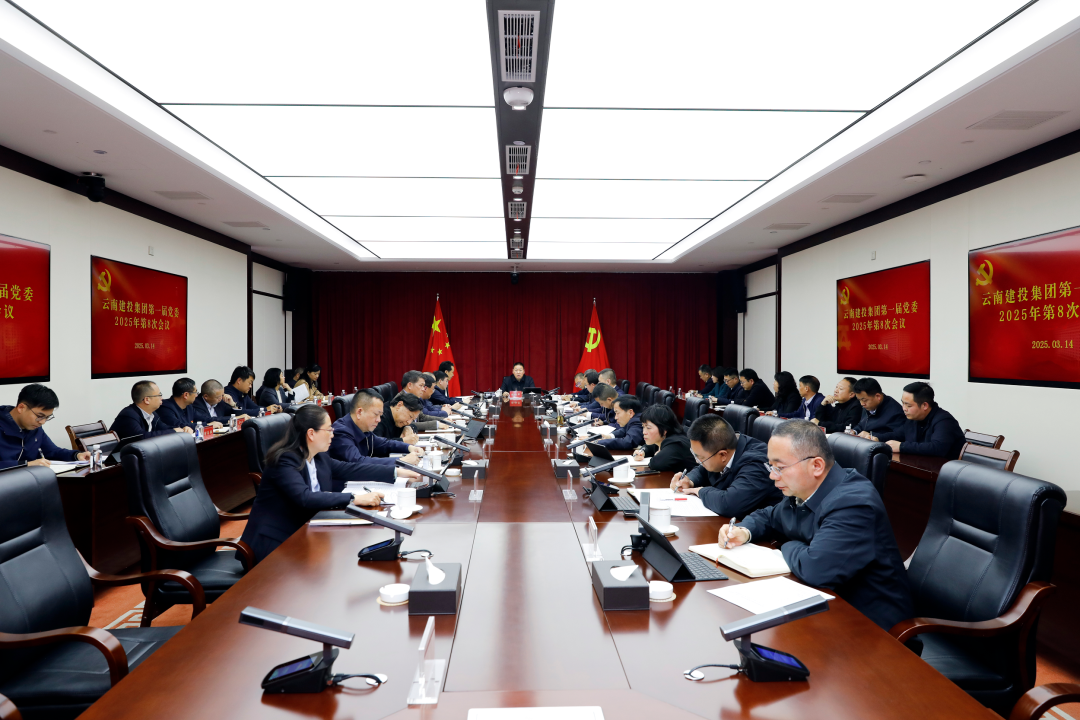 集团党委召开2025年第8次会议 认真传达学习习近平总书记重要讲话精神和全国两会精神