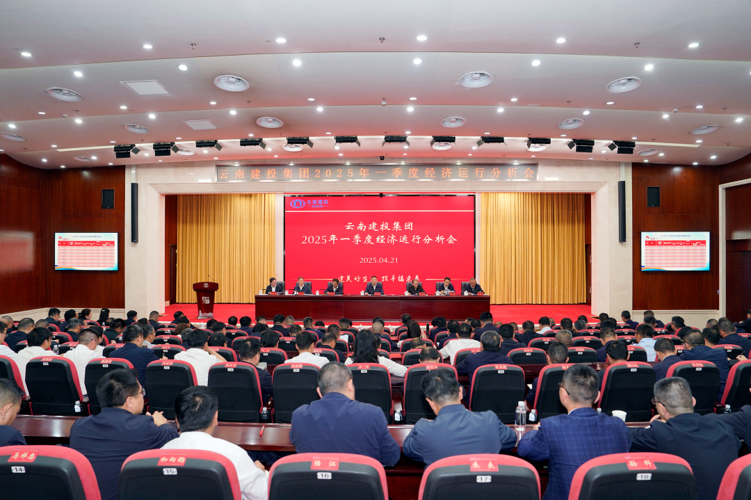 集团召开2025年一季度经济运行分析会