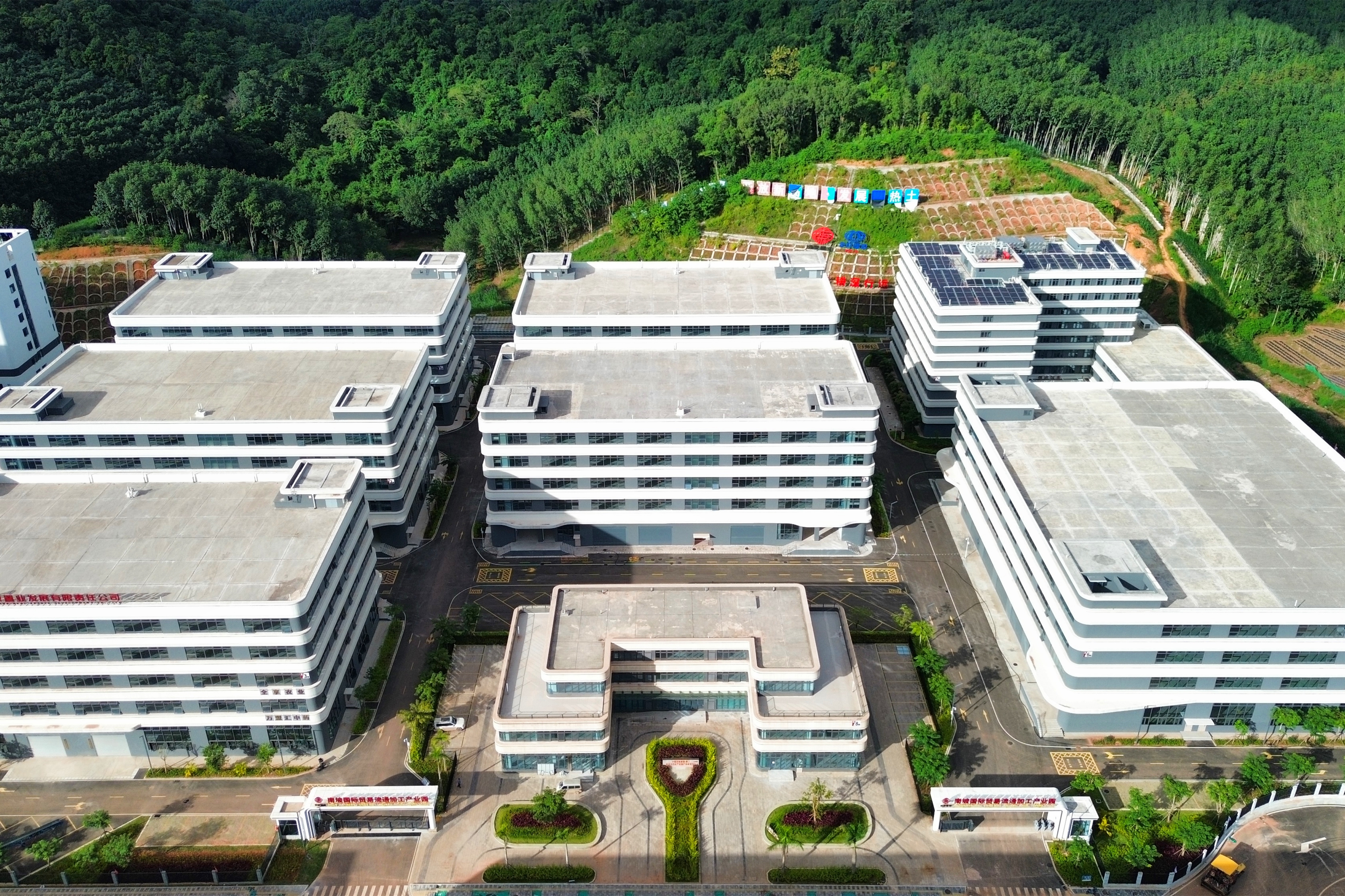 磨憨国际贸易流通加工产业园项目通过竣工验收