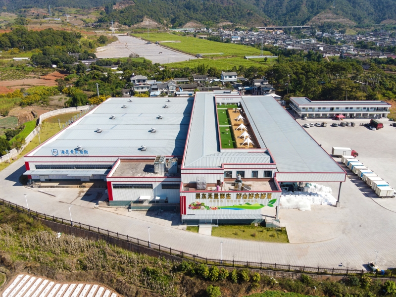 景东县水果蔬菜基地基础设施建设项目竣工验收